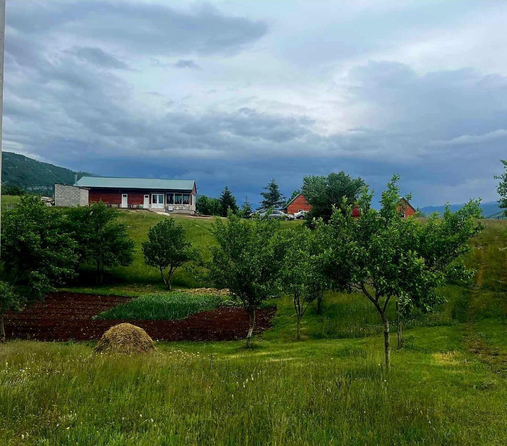 Rural Tron Resort