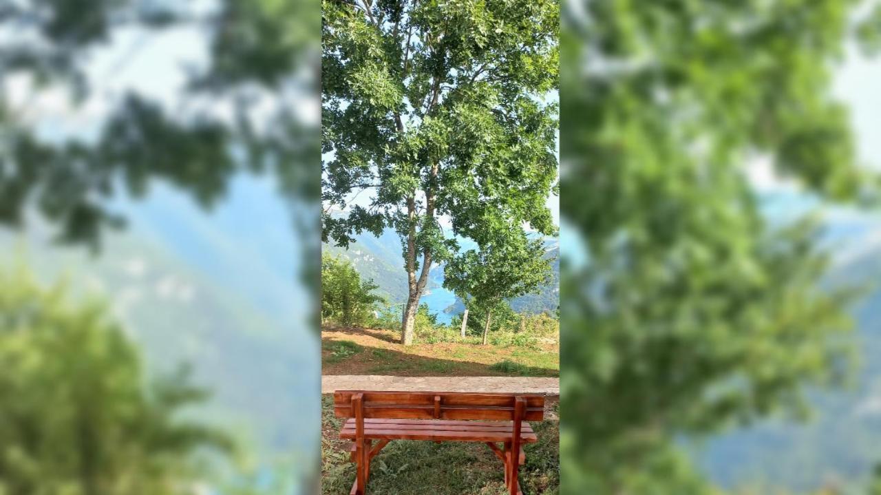 Resort Rural Tron Pluzine